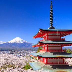 富士山春季赏樱+欢乐採草莓+新仓山浅间公园・巴士一日游(英文导游)