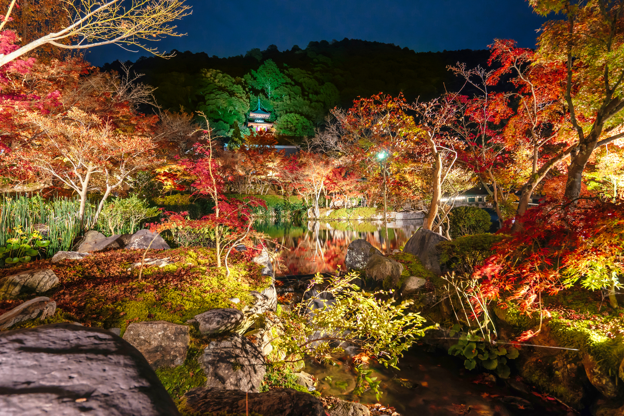 Japan Fall Foliage Guide 2018 VELTRA