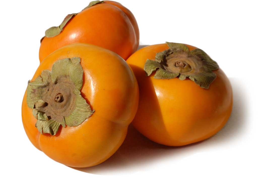 Persimmon