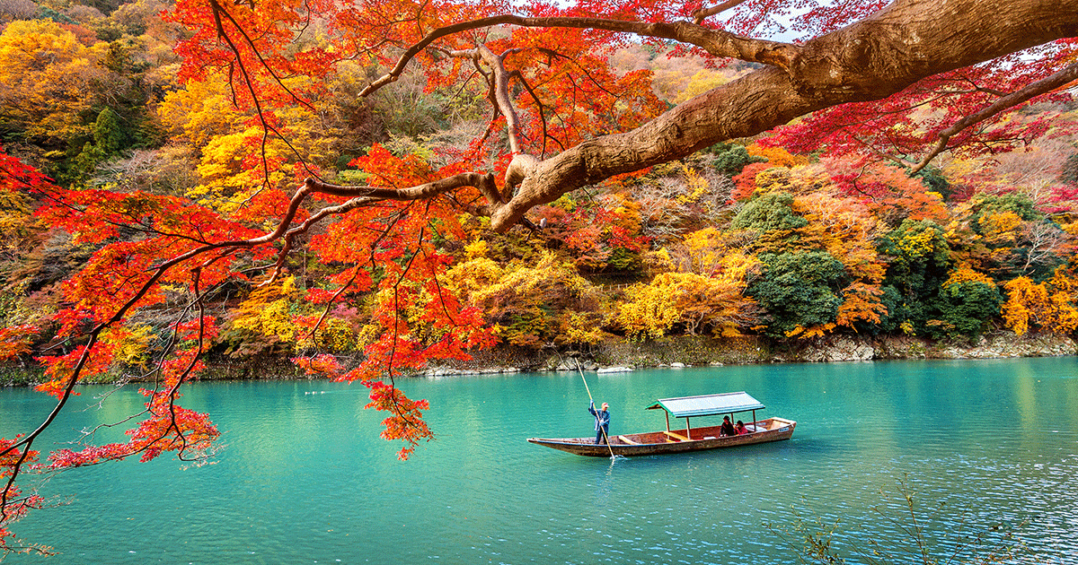 Japan Fall Foliage Guide 2019 Veltra