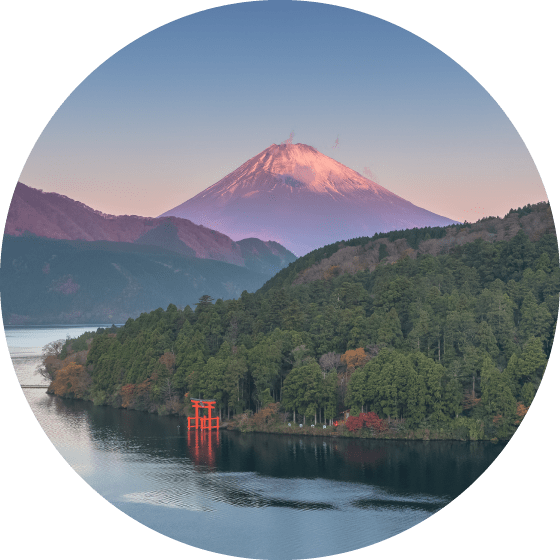 Lake Ashi: Mt. Fuji Tour from Tokyo with Lake Ashi Cruise and Komagatake Ropeway Ride