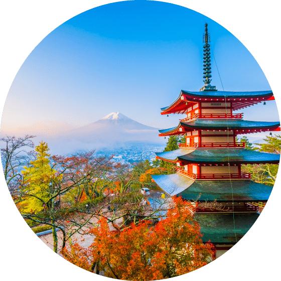 Sengen Shrine: Mt. Fuji Tour from Shinjuku with Shiraito Falls, Oshino Hakkai & Sengen Shrine