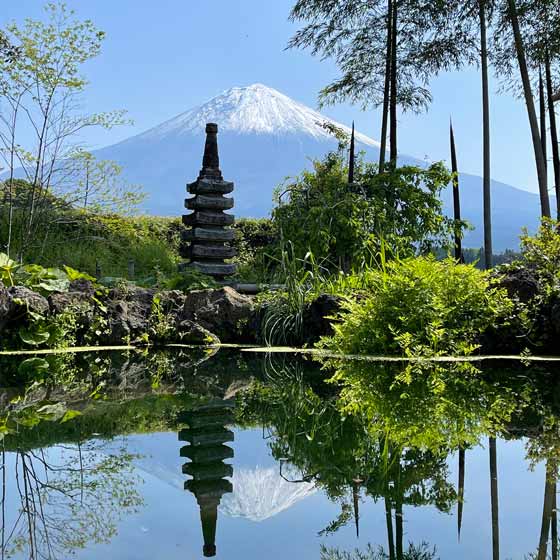 pond and Fuji