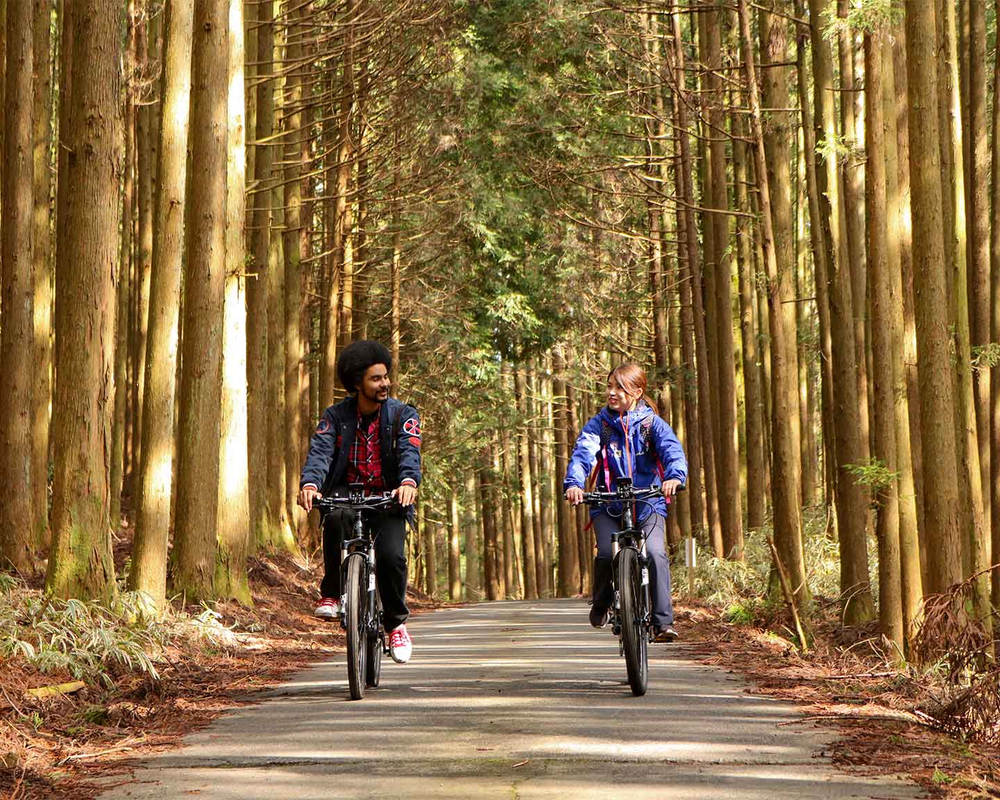 Biking through forests