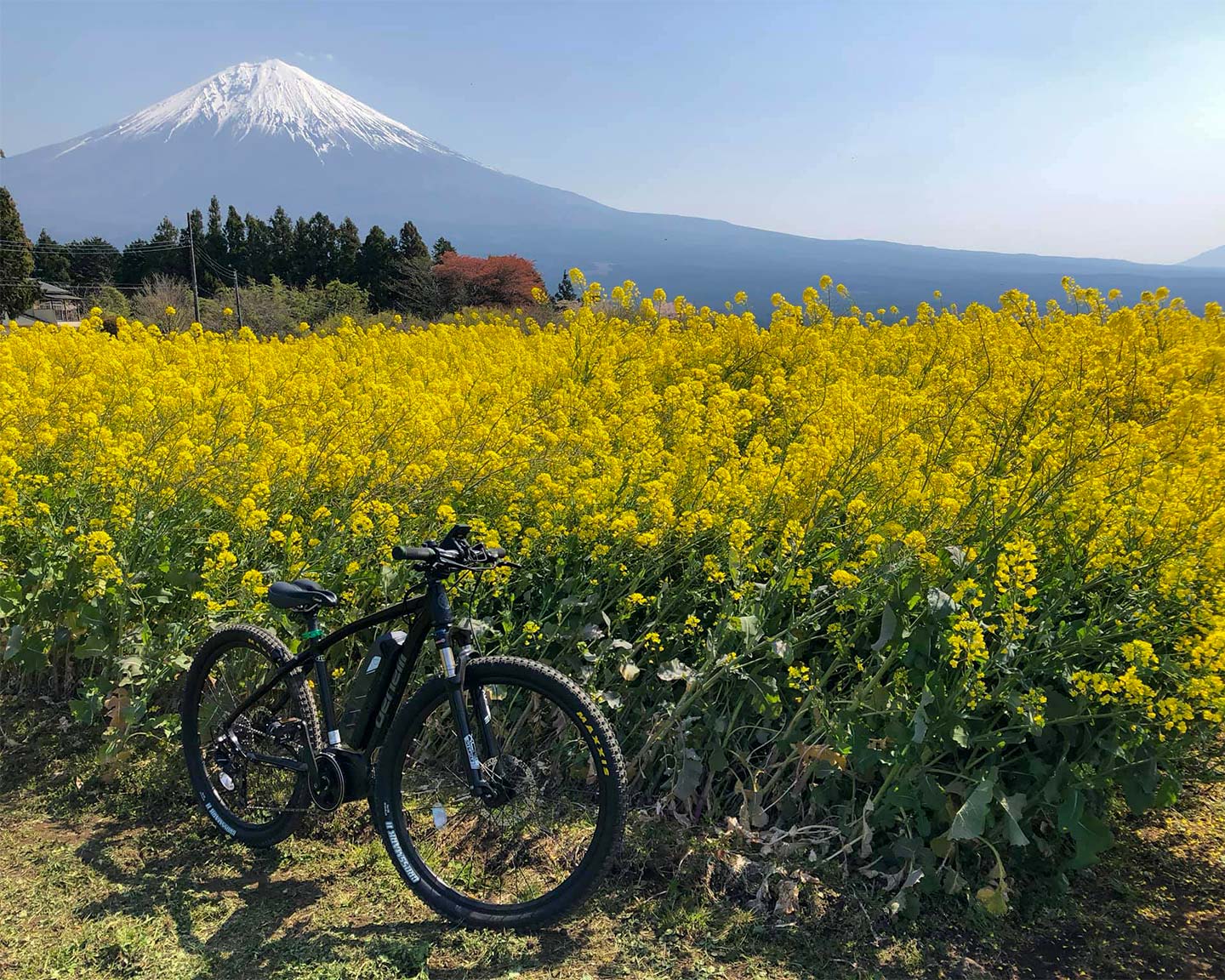 Coutryside secenries