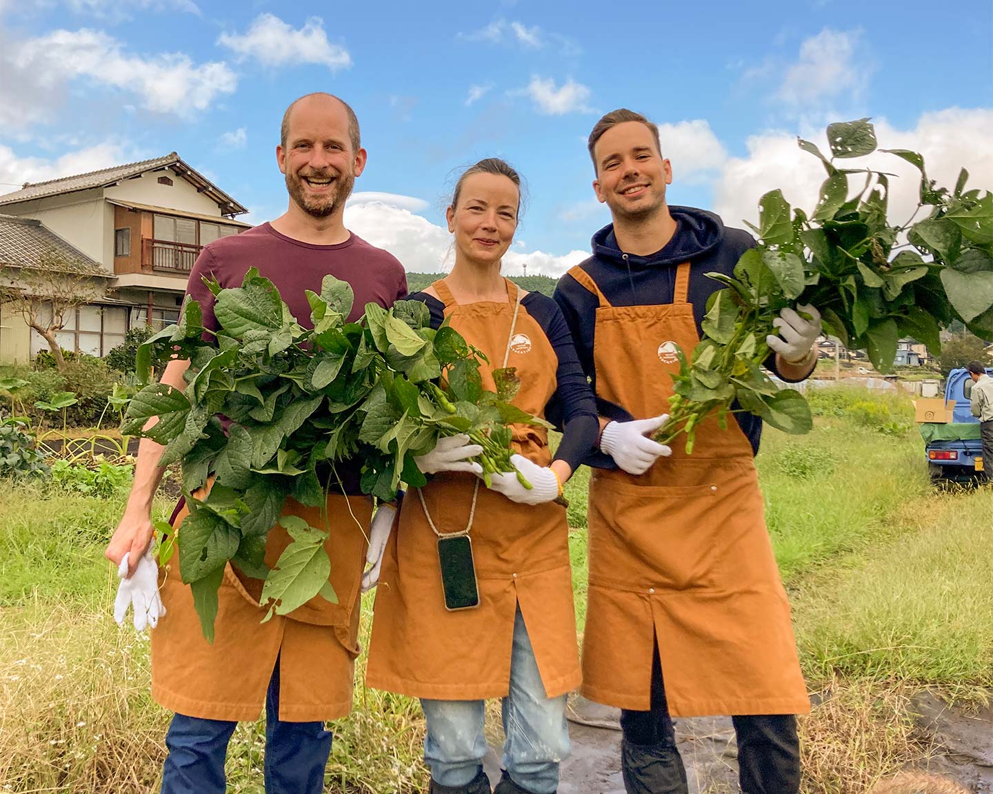 Harvest vegetables for dinner