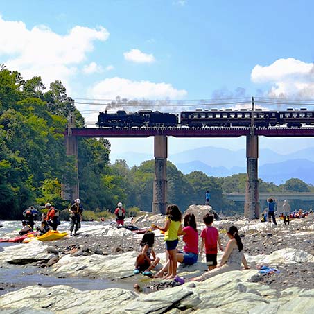 SL Paleo Steam Train