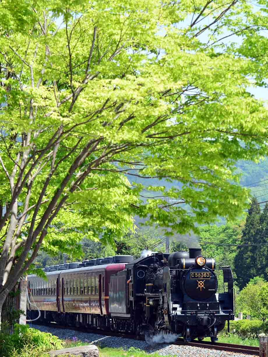 Chichibu Steam Train