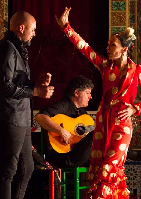Torres Bermejas Flamenco Show