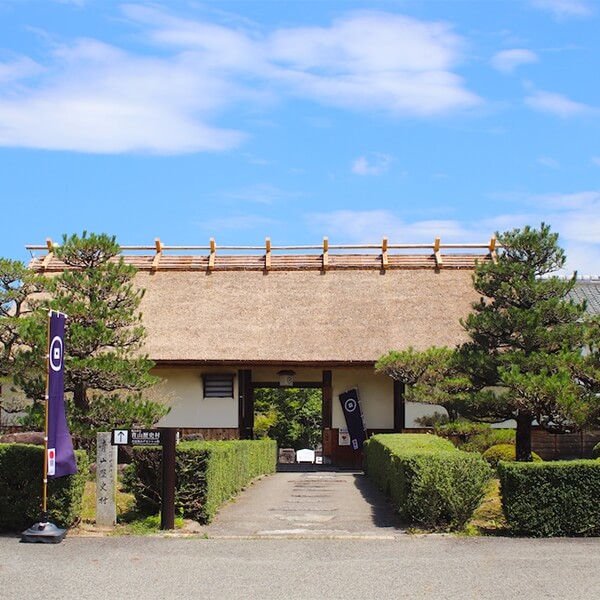 단바사사야마의 매력은 무엇인가요?