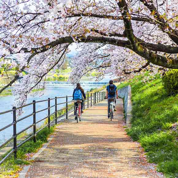 Cycling Tour of Historic Kyoto with an English Speaking Guide