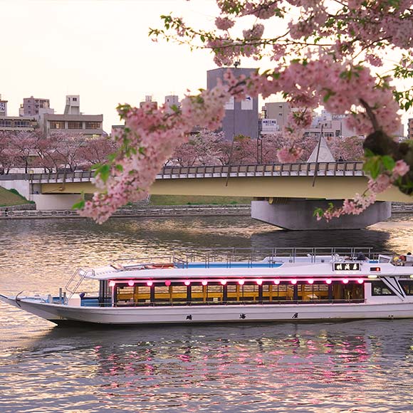 Yakatabune Tokyo Cherry Blossom Cruise with Lunch or Dinner & Bottomless Drinks
