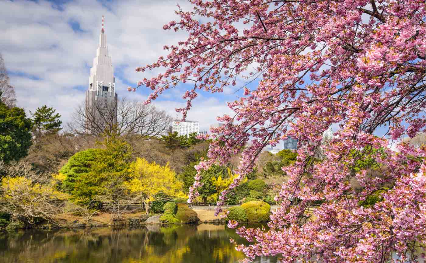Shinjuku Gyoen Park