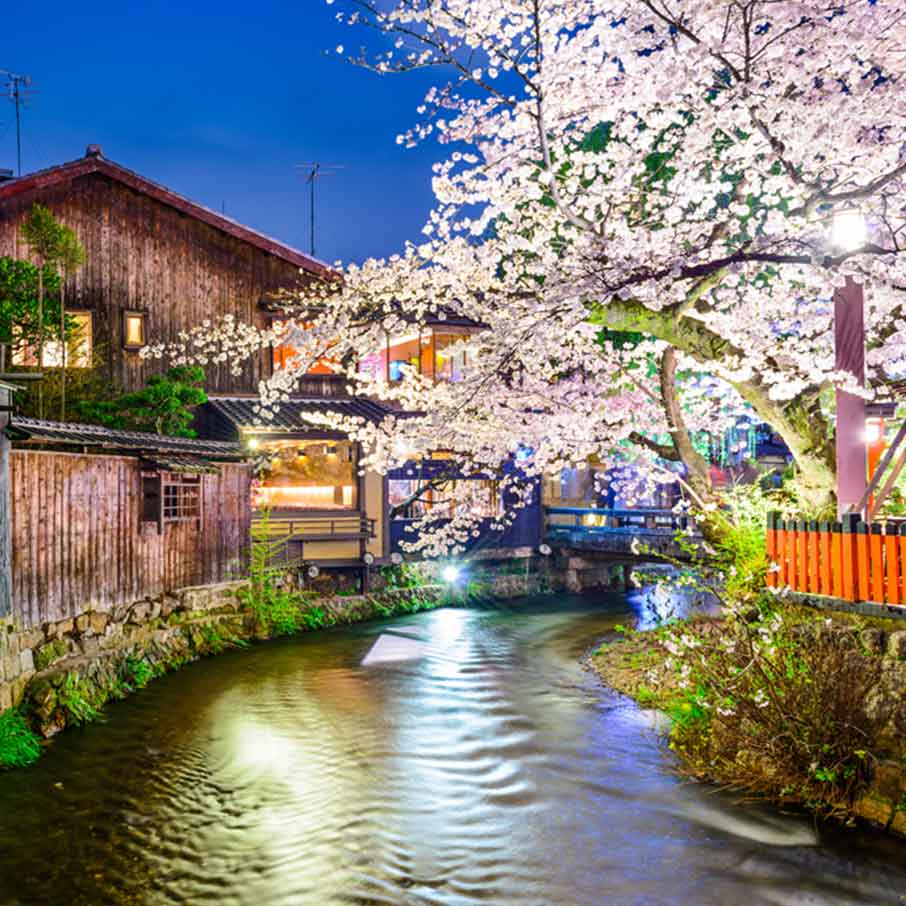 Shinbashi Geisha District