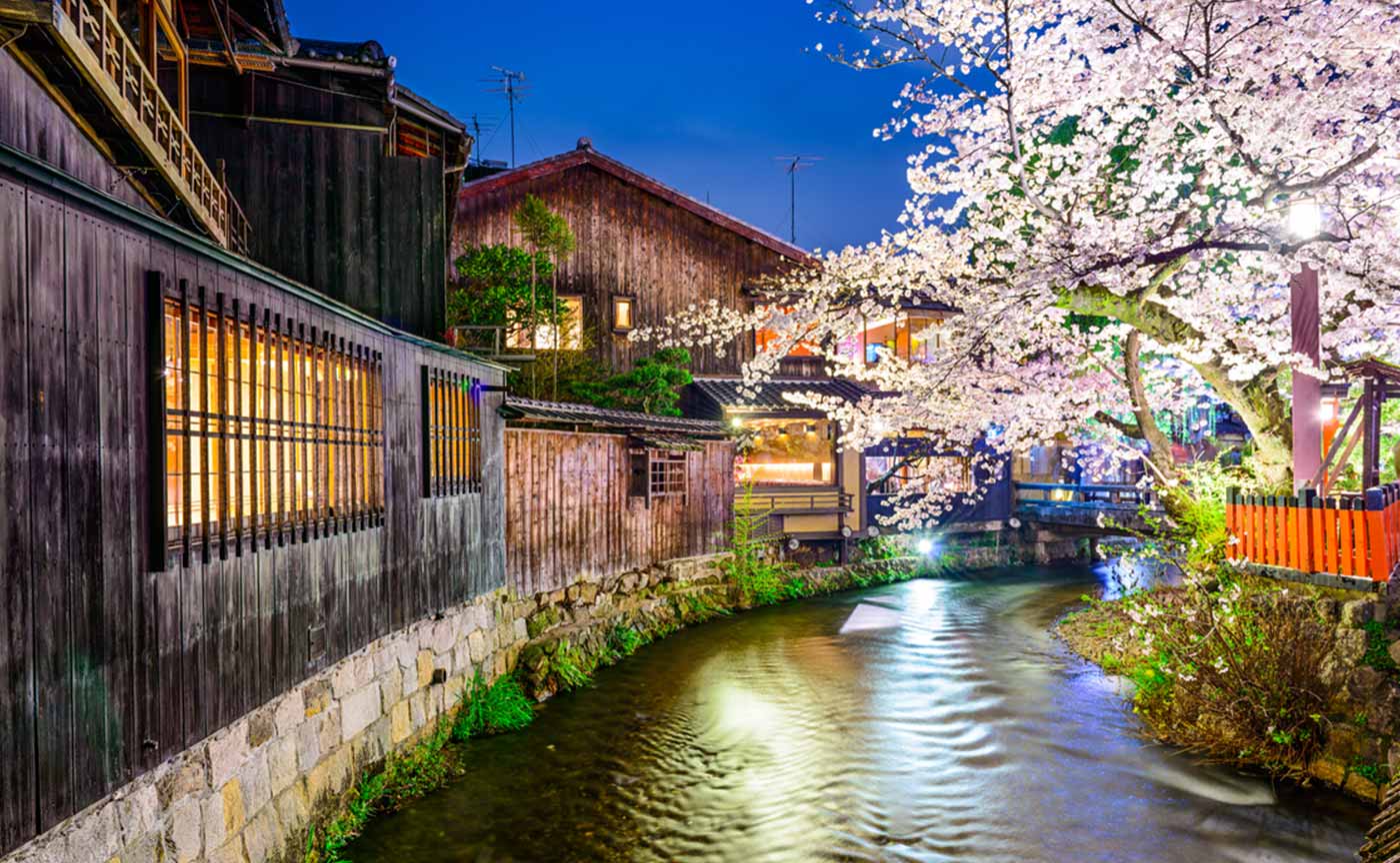 Japan Cherry Blossom Season 2020 | VELTRA Tours & Activities, Fun ...