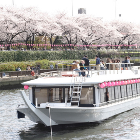 東京灣屋形船浪漫賞櫻巡航+美味午餐or晚餐+無限暢飲