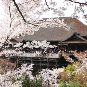 金閣寺+清水寺+高台寺+寧寧之道午後遊