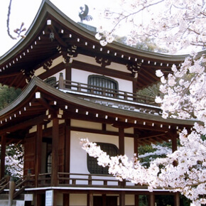 【京都春色】城南宮+光明寺+東寺+白子竹筍懷石料理午餐・賞櫻巴士半日遊（3/29～4/18限定）