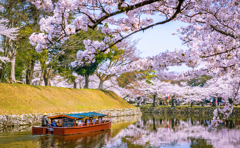 Shinbashi Geisha District